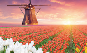 Survival Checklist for Internationals in The Netherlands